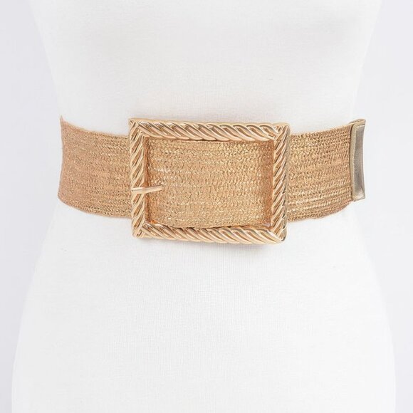 Wide Metal Buckle Clear Belt - Picture 1 of 6